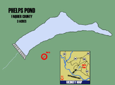 Phelps_Pond