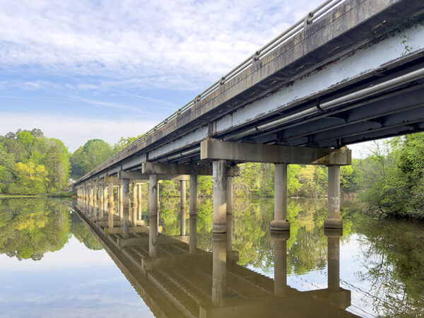 US-501 پل جو پہاڑوں کی کالونی کے لیے گھوںسلا کرنے کی ایک اہم جگہ ہے
