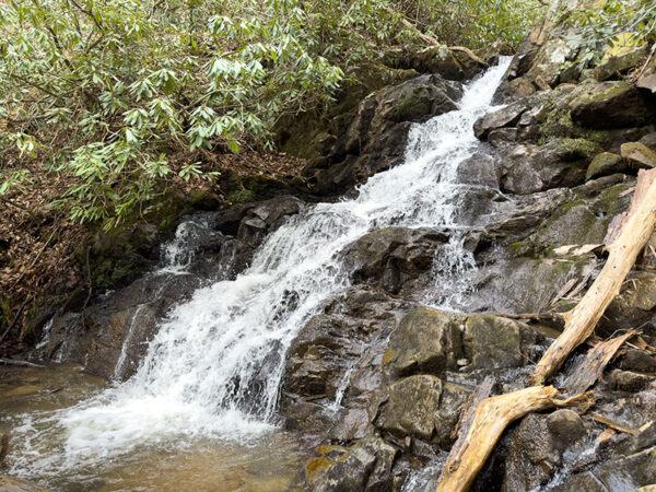 Fairwood وادی کے اندر Comer's Creek آبشار کی ایک تصویر