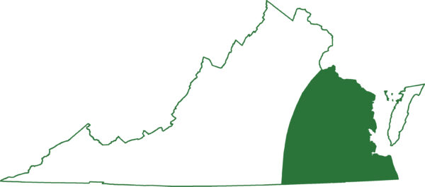 بڑا سائرن ورجینیا کے ساحلی میدان میں پایا جاتا ہے۔