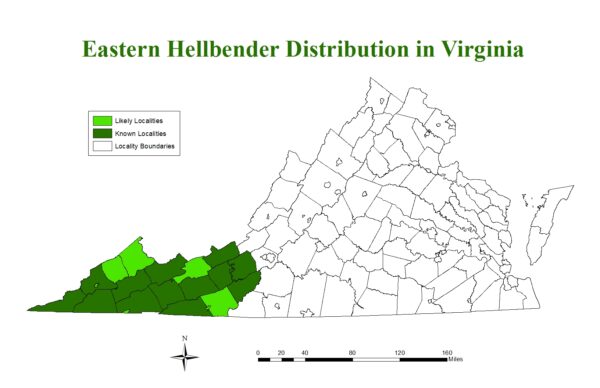 Hellbender تقسیم کا نقشہ