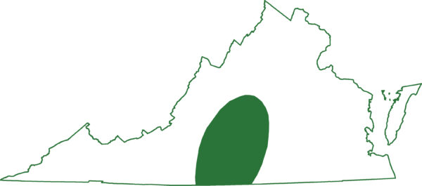 تل سیلامینڈر ورجینیا کے مرکز ترین علاقوں میں پیڈمونٹ میں پایا جاتا ہے۔