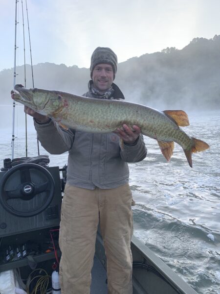 Muskellunge کی ایک تصویر