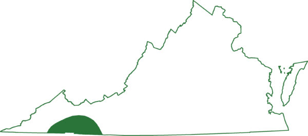 شمالی پگمی سالینڈر ورجینیا کے ایک ہی علاقے میں پایا جاتا ہے۔