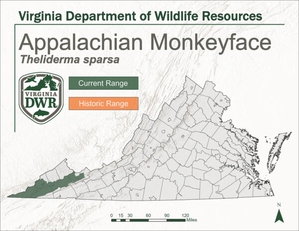 ورجینیا میں Appalachian Monkeyface کی تقسیم